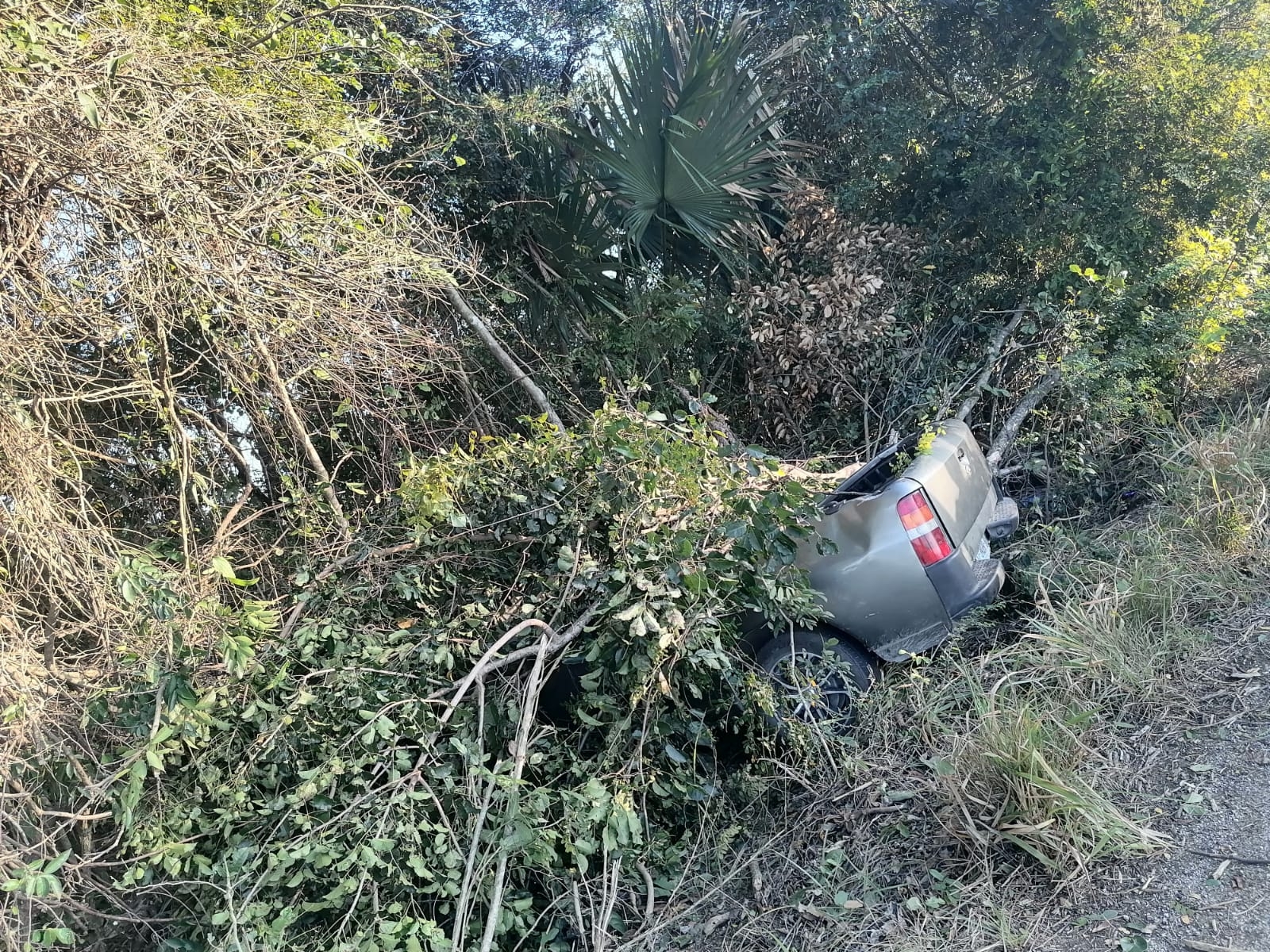 El conductor se retiró del lugar para dirigirse a su predio en la comisaria de San Pedro Bacab para pedir ayuda, activándose de esta manera los servicios de emergencia