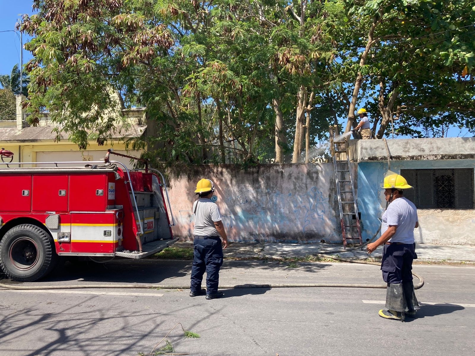 Bomberos apagaron las llamas y recomendaron a los vecinos que eviten las quemas clandestinas de basura