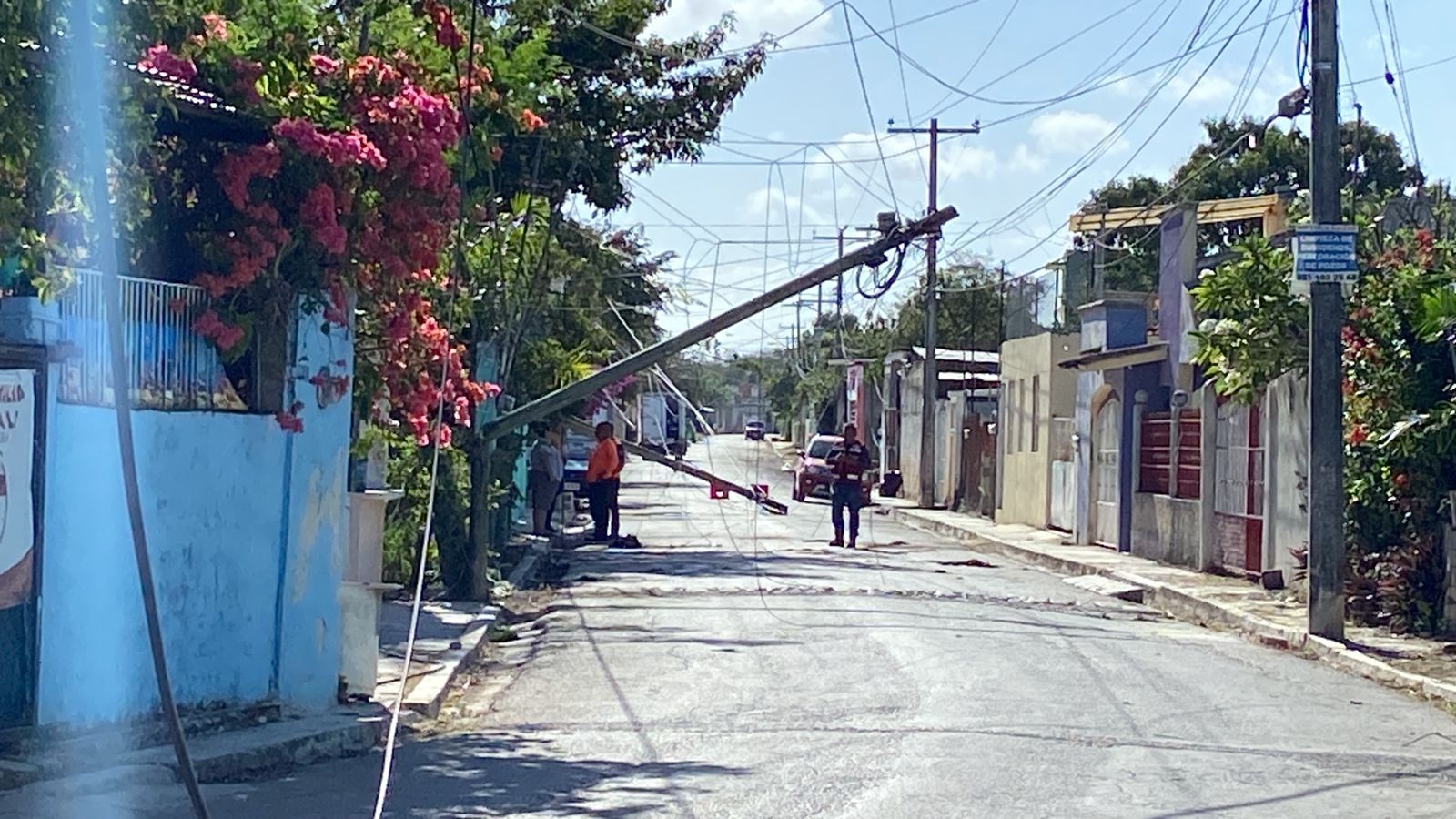 Vecino derriba un árbol y deja sin luz a varias familias en Campeche