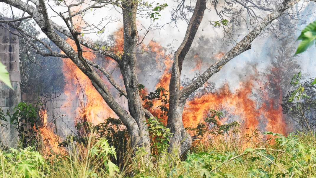 La mayoría de los incendios fueron derivados por quemas de basura en espacios clandestinos