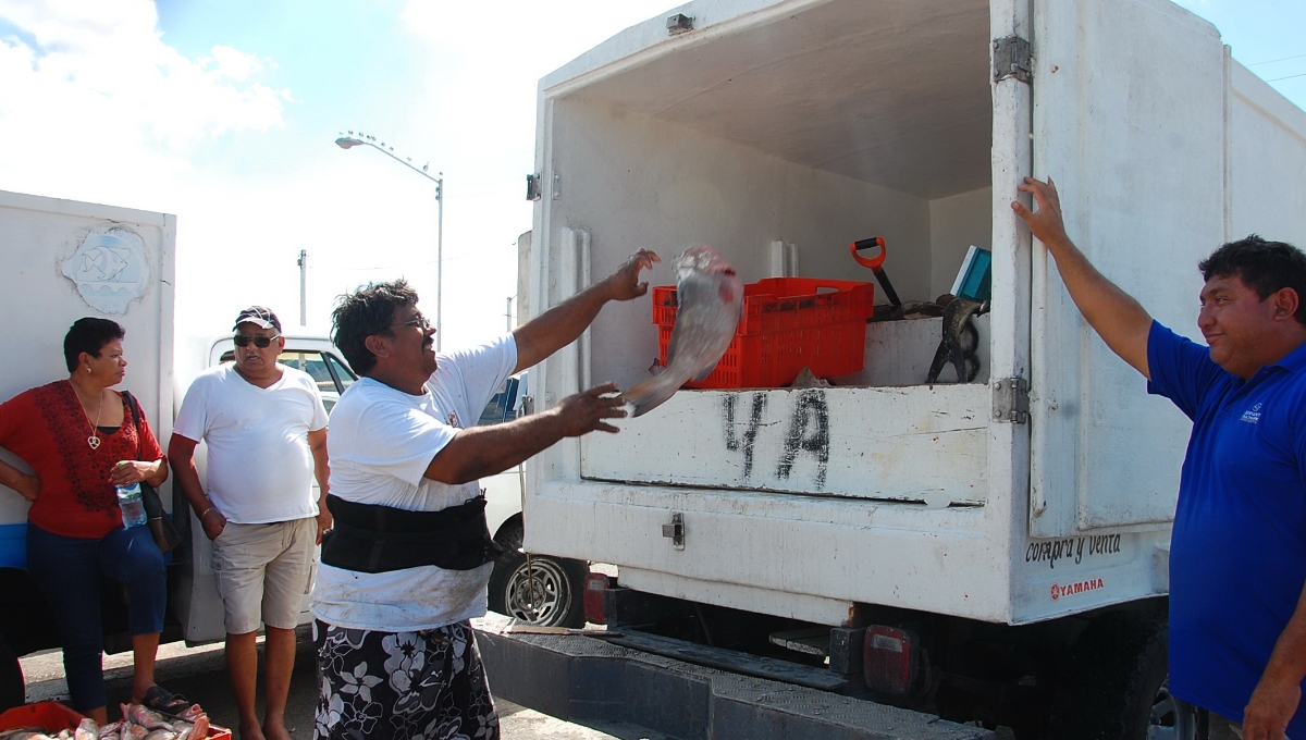 Yucatán: Más de 12 mil familias de pescadores, sin sustento por veda del mero