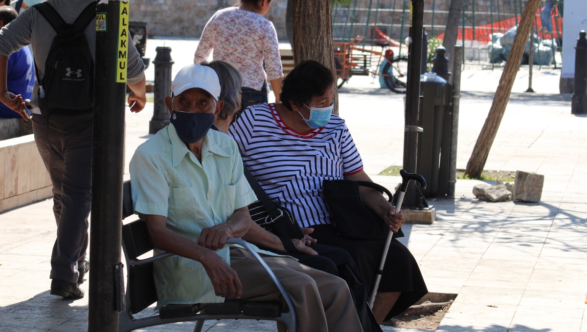 Las personas mayores de edad son importantes en el núcleo familiar por lo que hay que trabajar para no seguir con el abandono