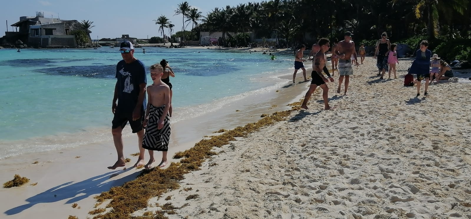 Arriba el primer recalé de sargazo en Isla Mujeres