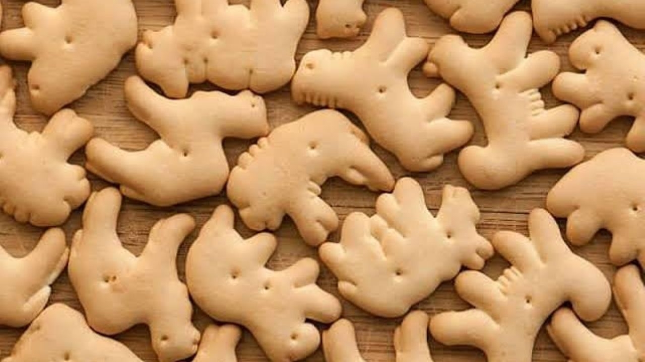 Hay pros y contras en las galletas de animalitos