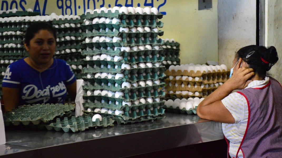 El precio del huevo ha incrementado, luego de que se registró un brote de gripe aviar en Yucatán