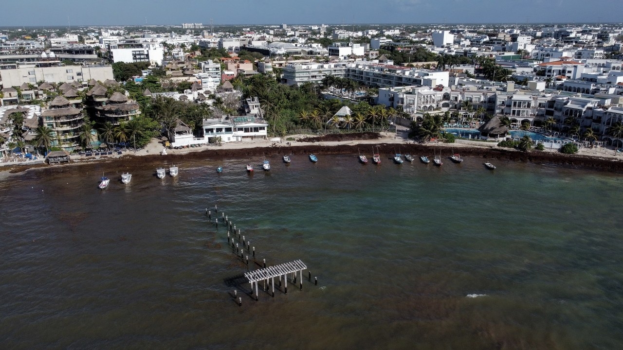 En el transcurso de las próximas horas se estima la ocurrencia de recales al Este de Cozumel, con un aproximado de 15 toneladas