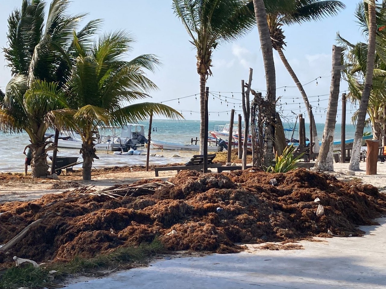 En algunas zonas de la Costa Maya y el Sur de la Entidad ya arrancó un programa de limpieza intensiva
