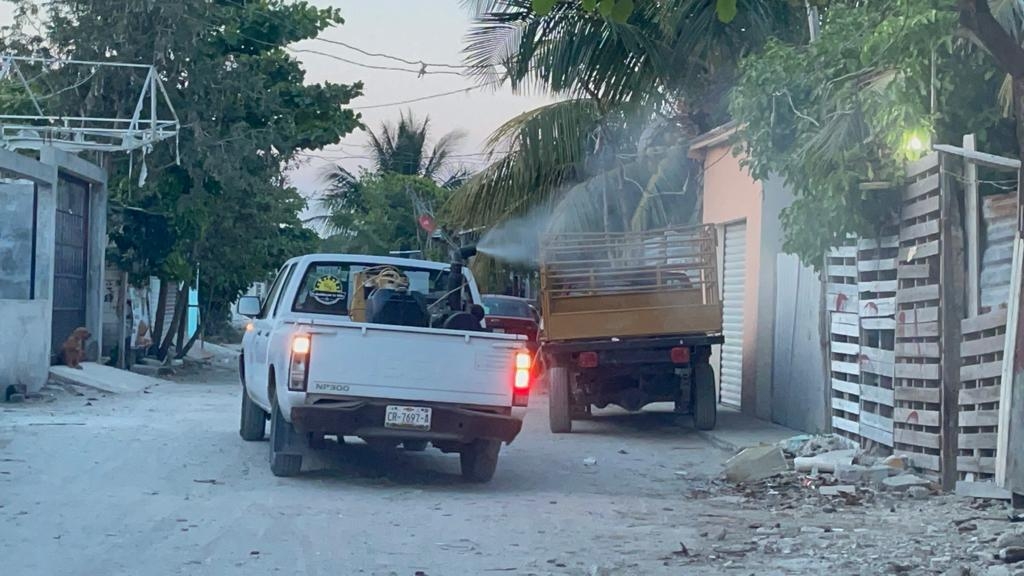 Las brigadas de fumigación en Ciudad del Carmen inician este martes