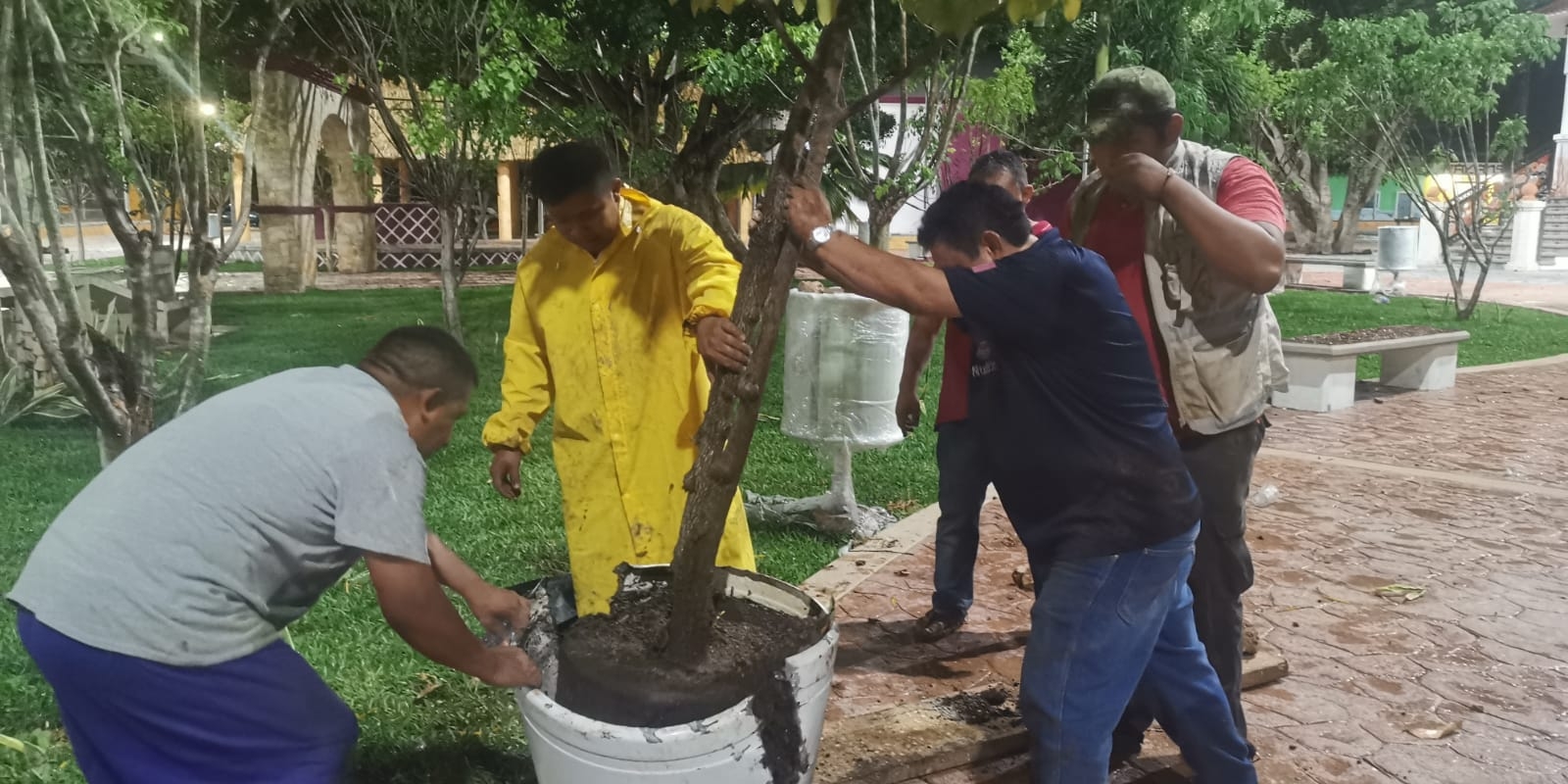 La situación obligó a las autoridades trabajar de noche para replantar los arbustos que se cayeron en las áreas verdes