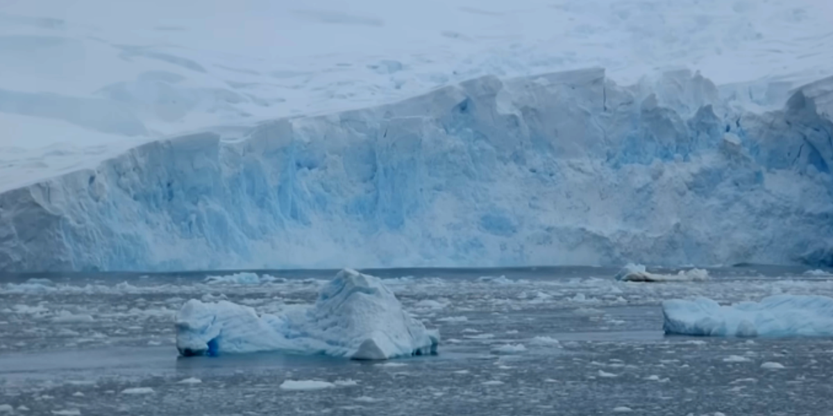 El gigantesco bloque de hielo es un peligro para la fauna. Foto: Especial