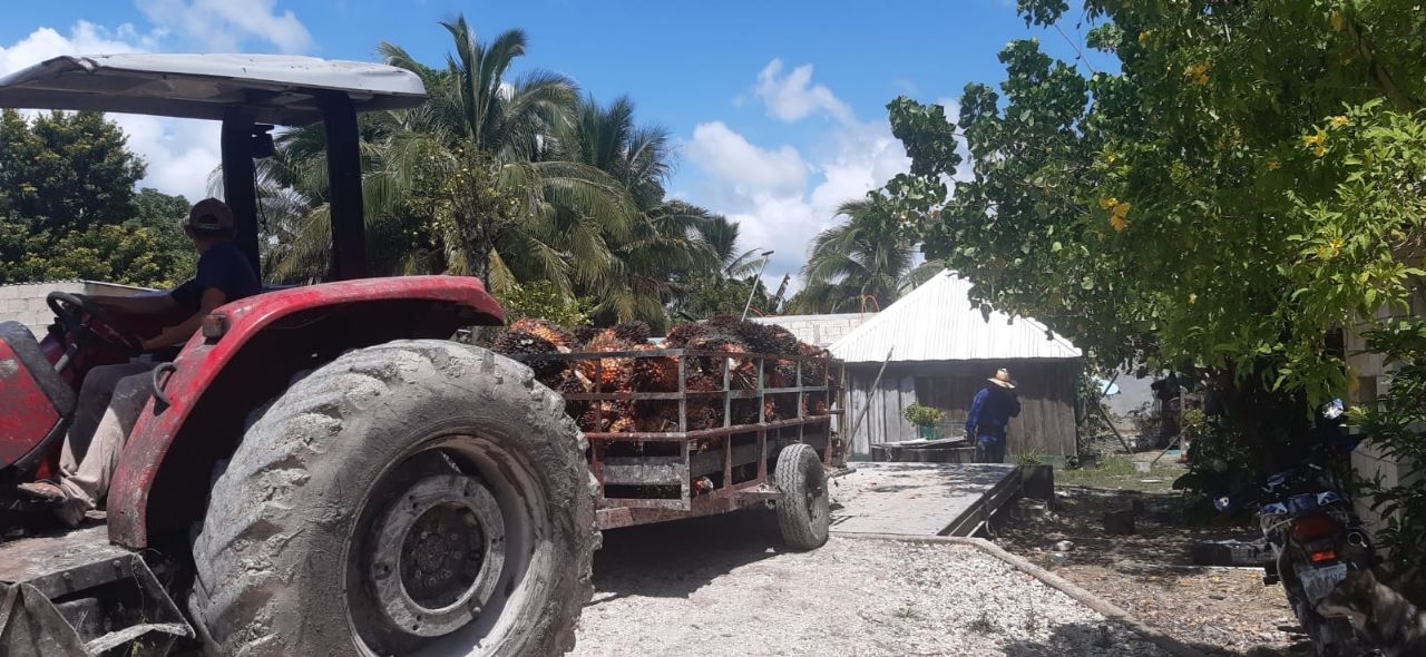 Ciudad del Carmen es un importante productor de aceite de palma