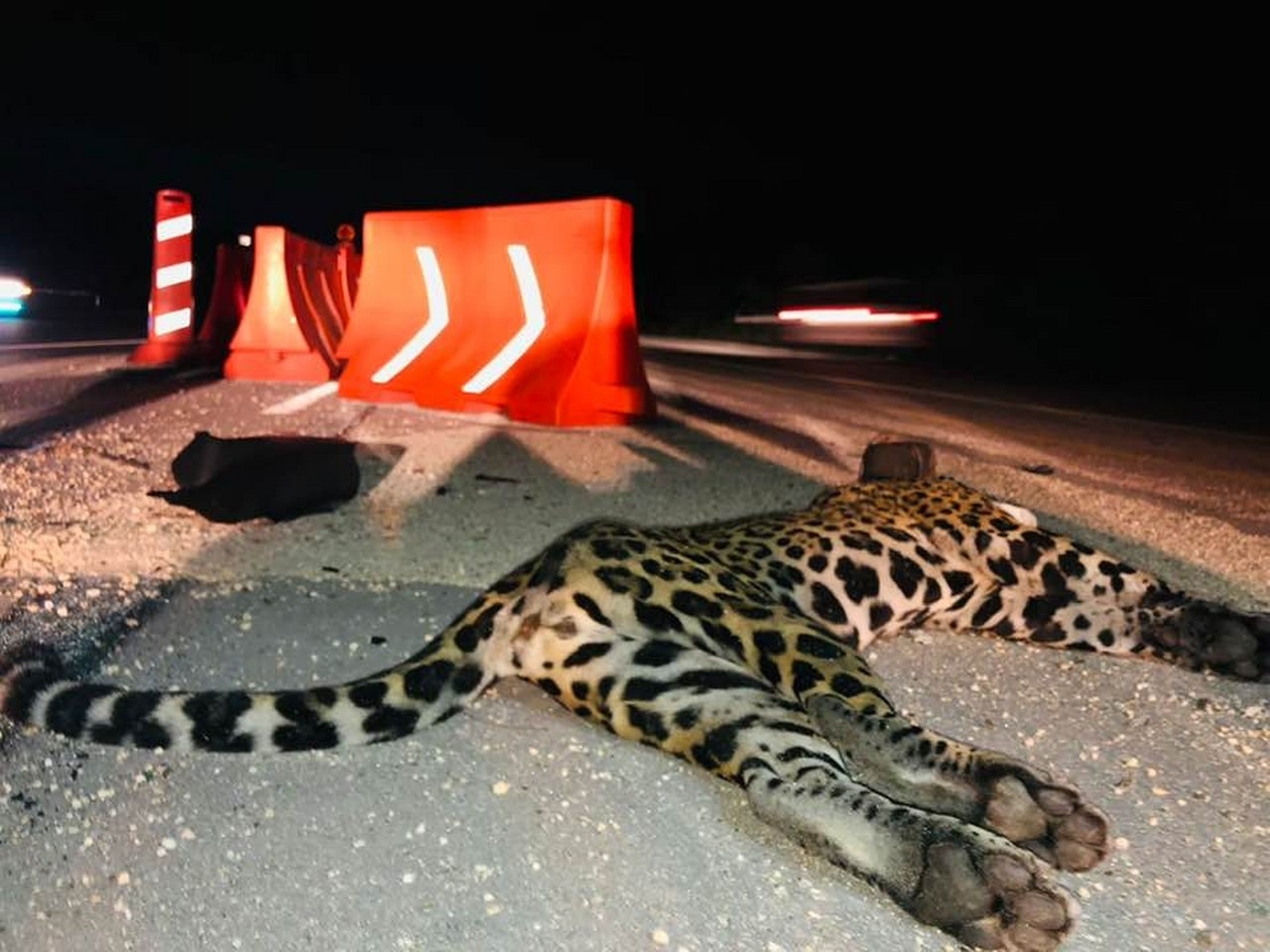 En la Carretera Federal 307 es donde más casos se reportaron