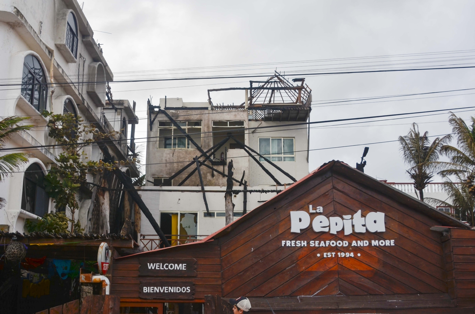 Incendio consume el restaurante “La Pepita” en Puerto Morelos