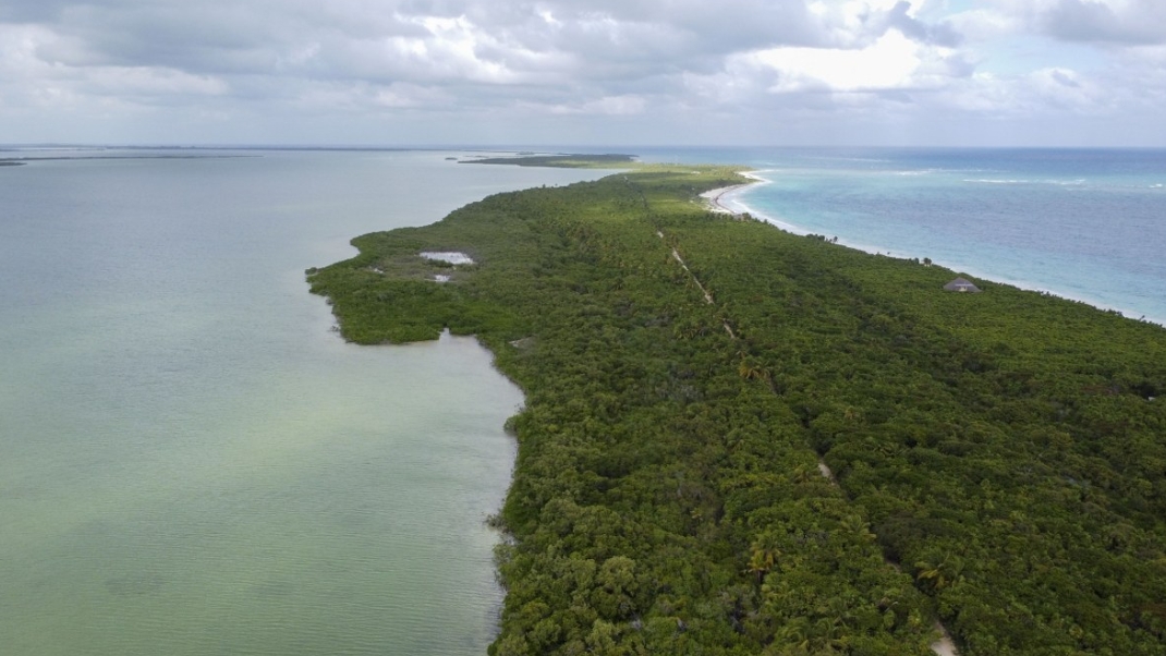 Tulum: Semarnat someterá a consulta pública proyecto residencial en la biosfera de Sian Ka’an