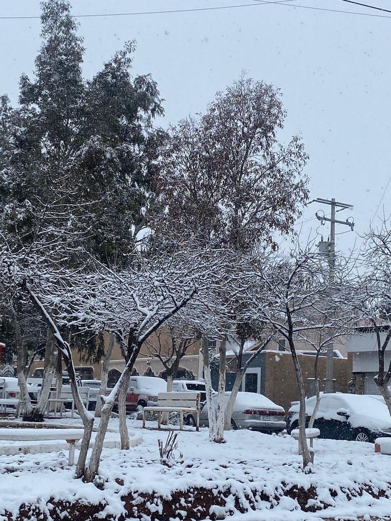 Se han reportado temperaturas de entre -4 y -2 grados centígrados en Sonora