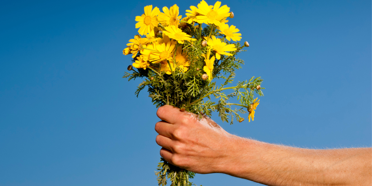 ¿Qué significan las flores amarillas y por qué se regalan el 21 de marzo?