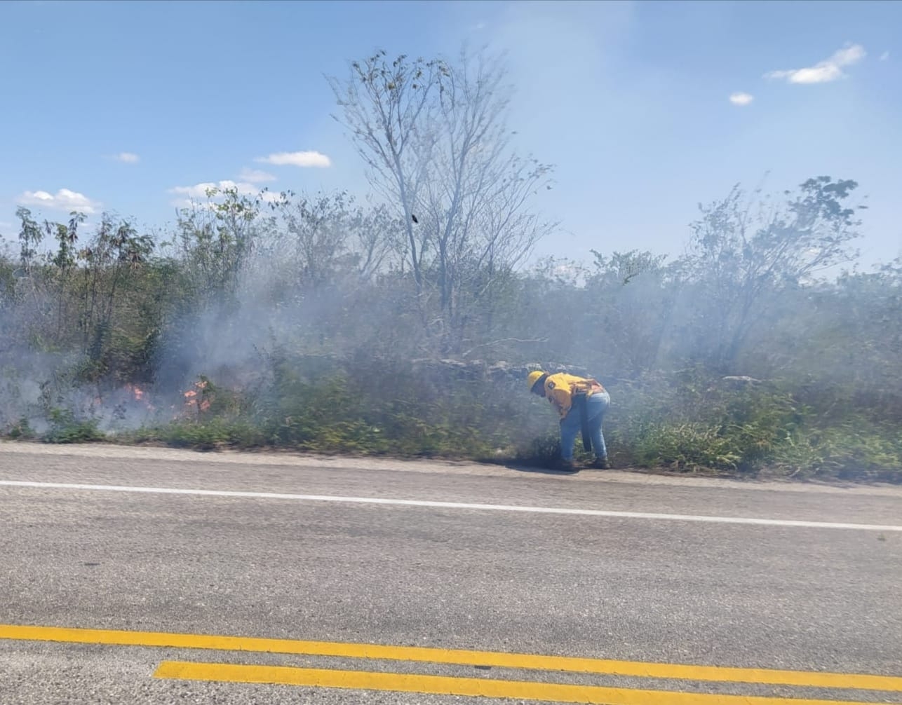 Fuego consume maleza en la carretera Buctzotz-Tizimín