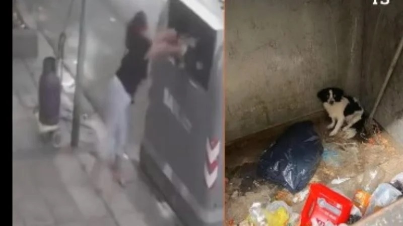 Captan a una mujer tirando a un perrito a la basura en Argentina: VIDEO