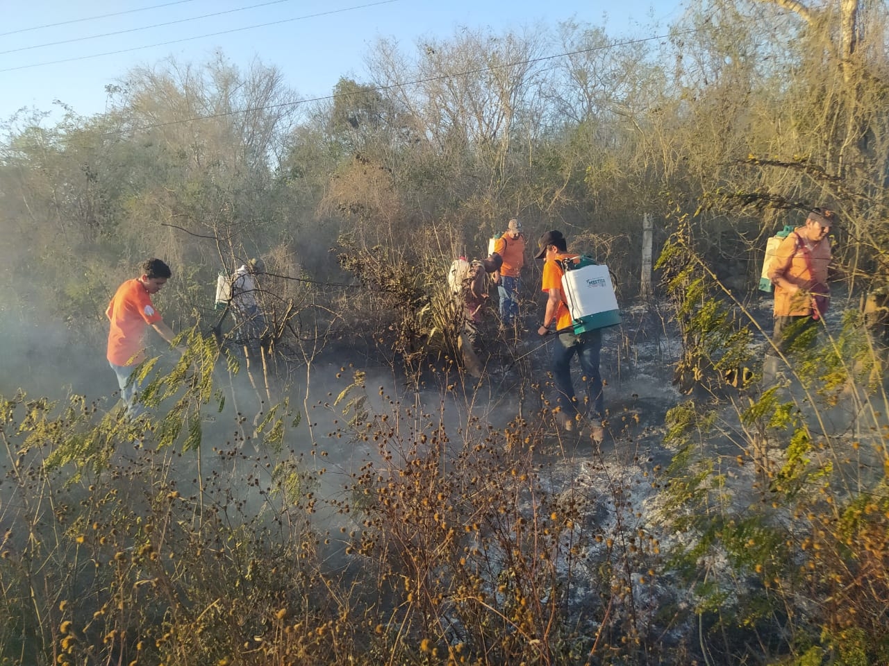 Incendio arrasa con maleza a la orilla de la carretera Buctzotz-Tizimín