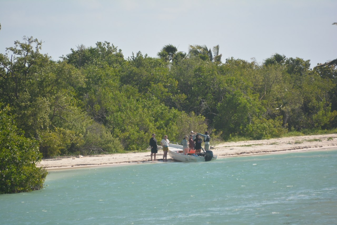 La Reserva de la Biosfera ha perdido en los últimos años una extensa franja costera por las diversas construcciones para albergar a cientos de turistas