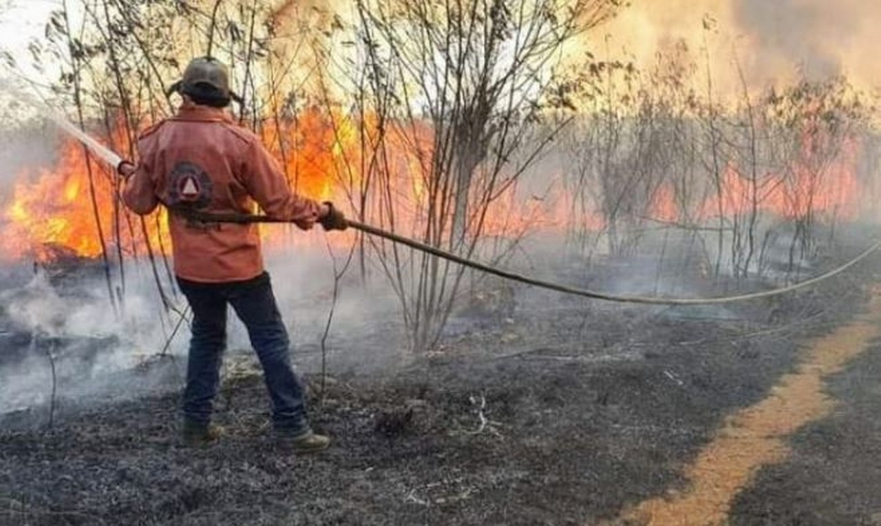 Piden a la población evitar tirar colillas y basura en las carreteras