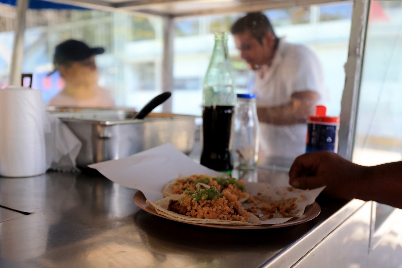 Este alimento es más que un capricho; también es un importante pilar económico