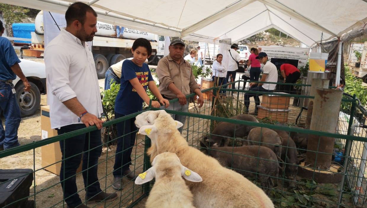 Buscan que Hopelchén sea reconocida de su gran feria