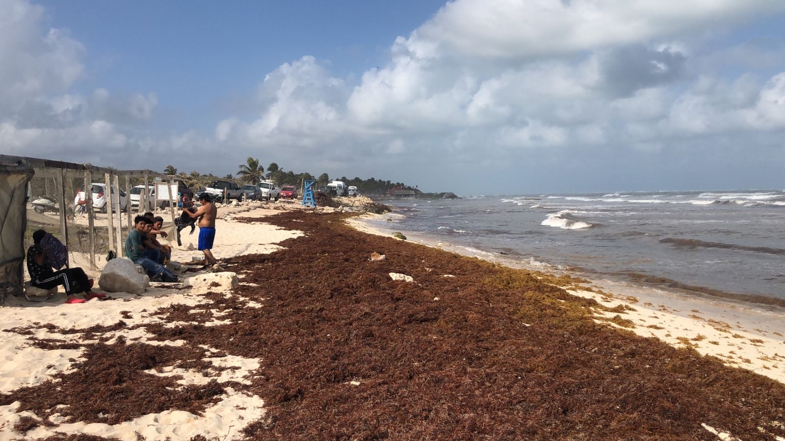 El sargazo ha ahuyentado el turismo que busca el azul del mar