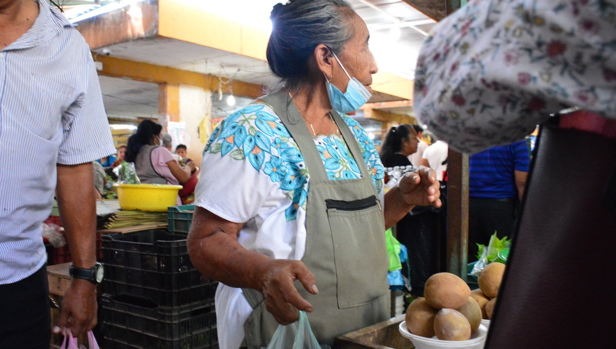 En Campeche, las mujeres indígenas carecen de alimentación: Secretaría del Bienestar