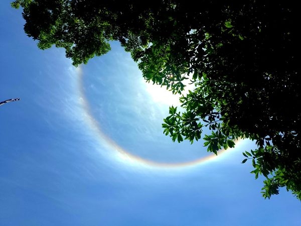 Halo solar deslumbra a los habitantes de Yucatán; anuncia próximas lluvias, aseguran