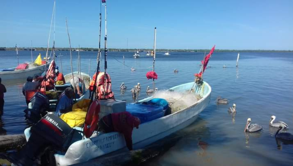 Pescadores exigen a las autoridades dragado en el Estero de Sabancuy