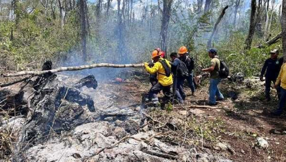 Imparable incendio forestal en Playa del Carmen; ni las lluvias ayudan a controlarlo