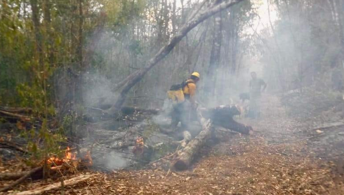 Semabicce informó que los 19 combatientes que trabajaron en Xbonil Viejo dieron por liquidado el fuego