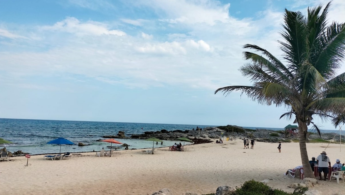 ¿Alerta de Tsunami en Playa del Carmen? Fuerzas Armadas anuncian simulacro