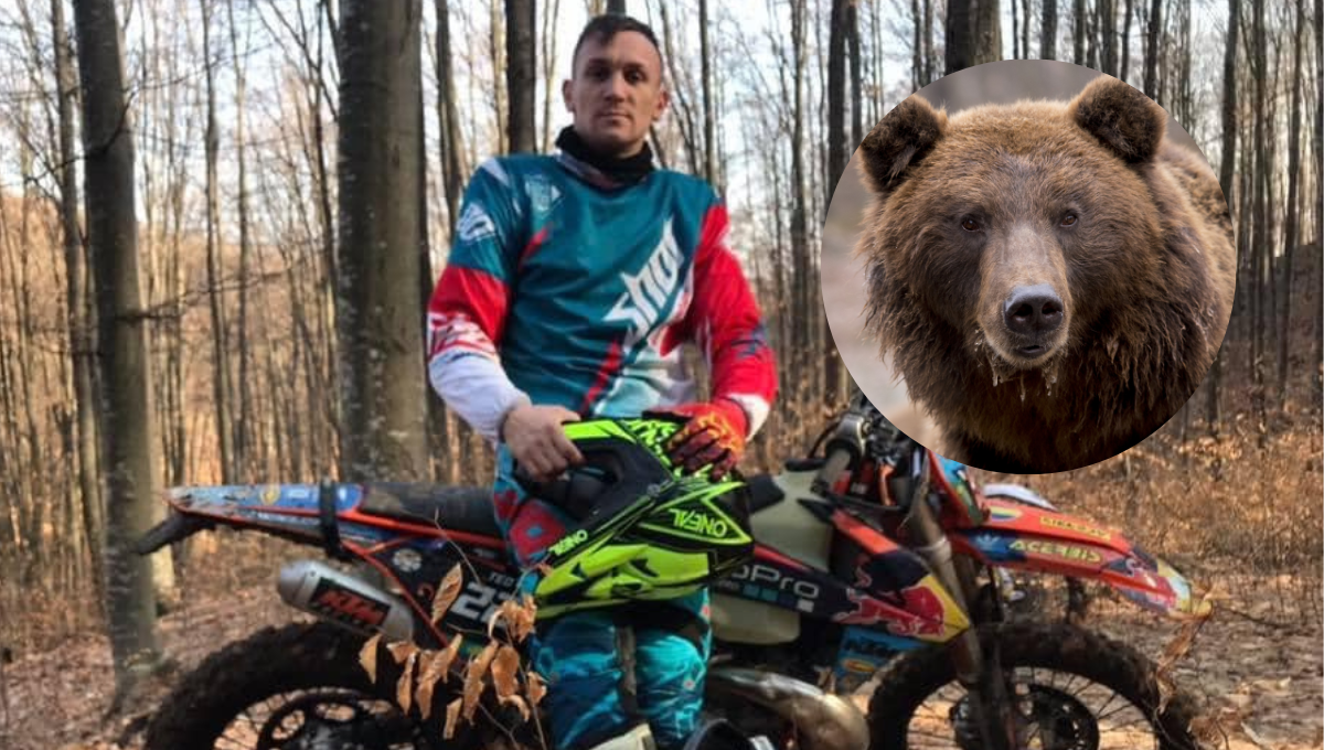 El oso huyó al escuchar el motor de la motocicleta