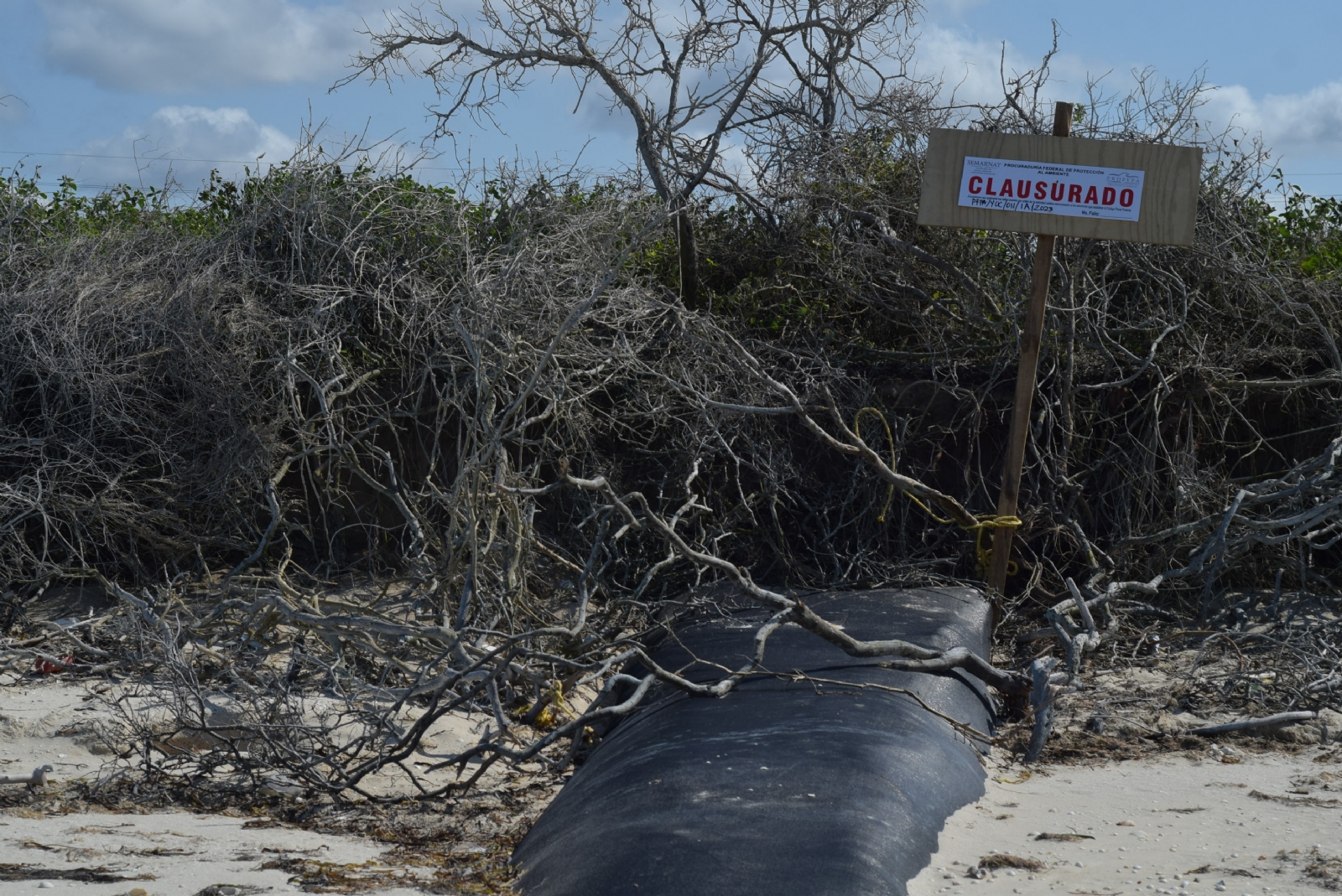 Los geotubos fueron clausurados