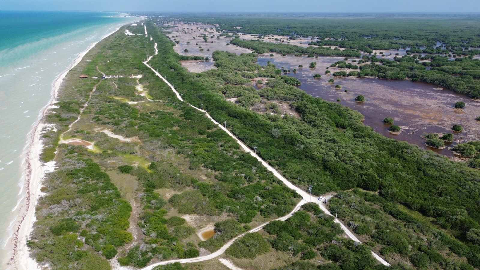 Paraíso Sisal: Representante de Kanan Derechos Humanos respalda suspensión del proyecto