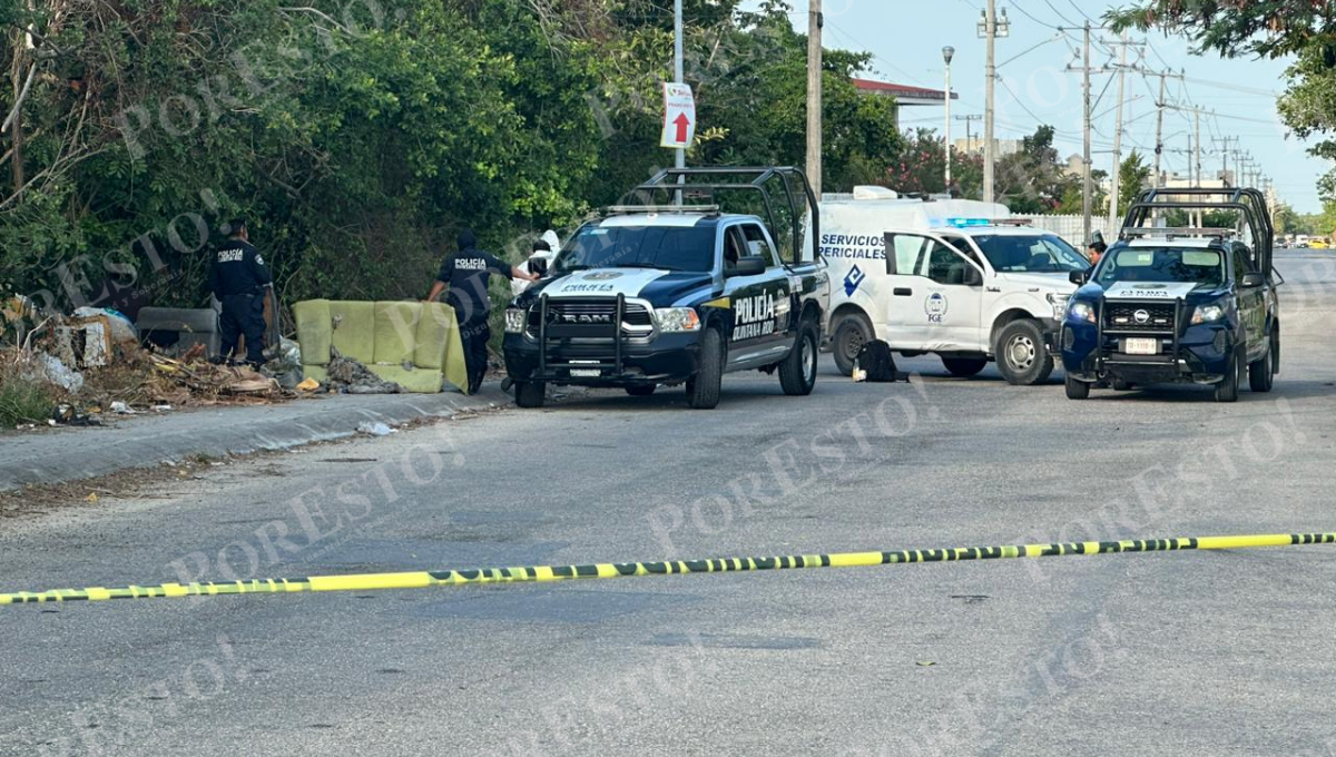 Hallan ensabanado en el fraccionamiento Las Palmas, en Cancún