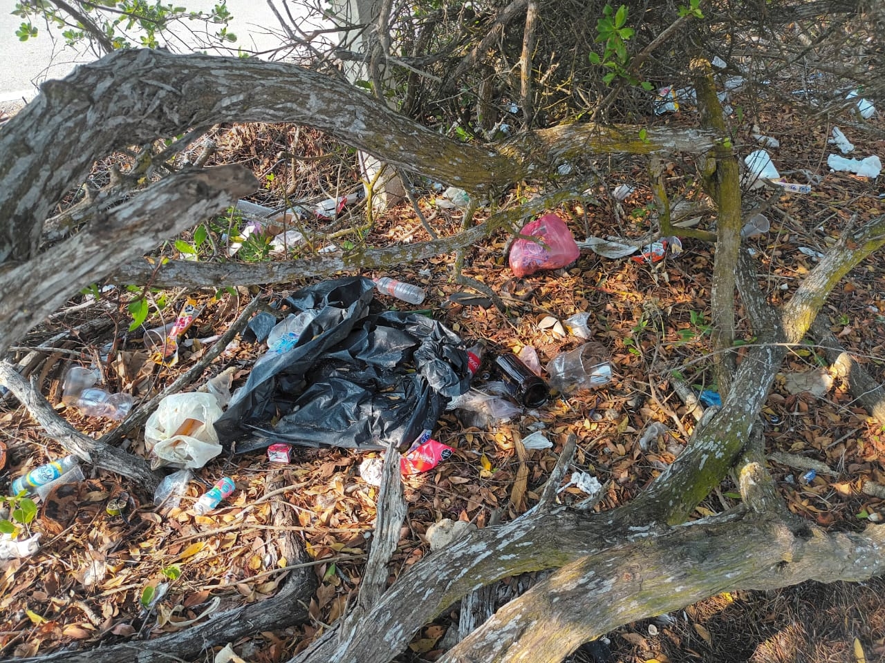 Visitantes convierten Playa Marmotas, en Chabihau, en un basurero