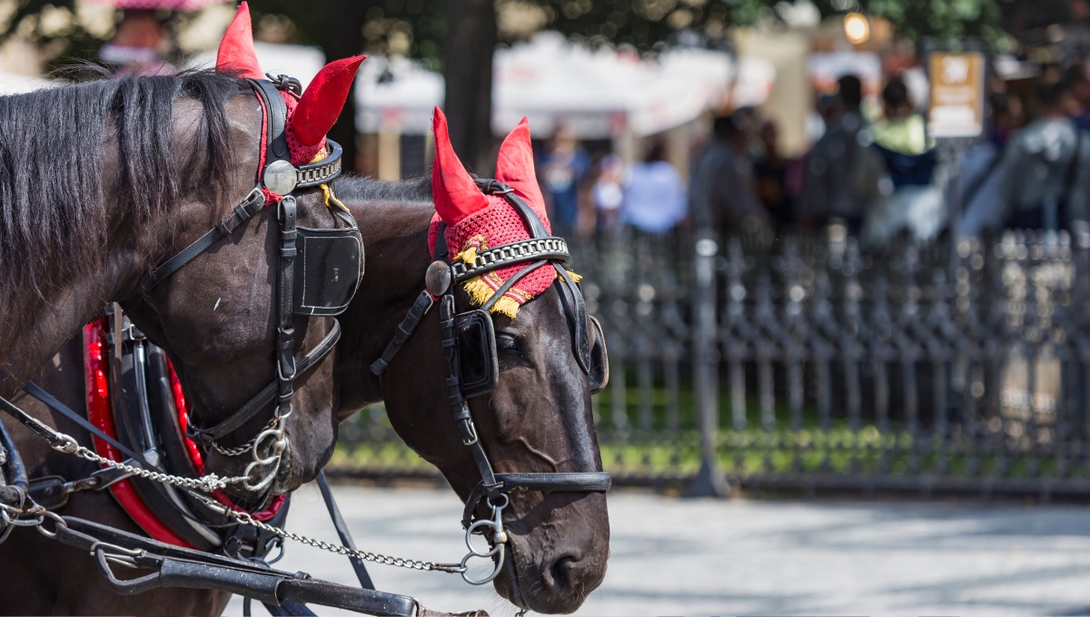 Caballo se desvanece en la Feria de Sevilla y es pateado; la acción causa indignación: VIDEO