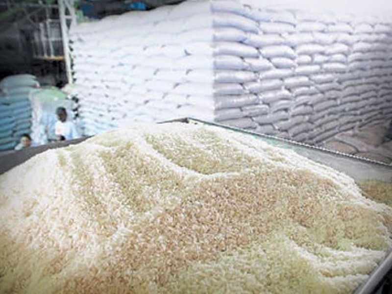 Buscan recuperar producción de arroz de buena calidad en Campeche