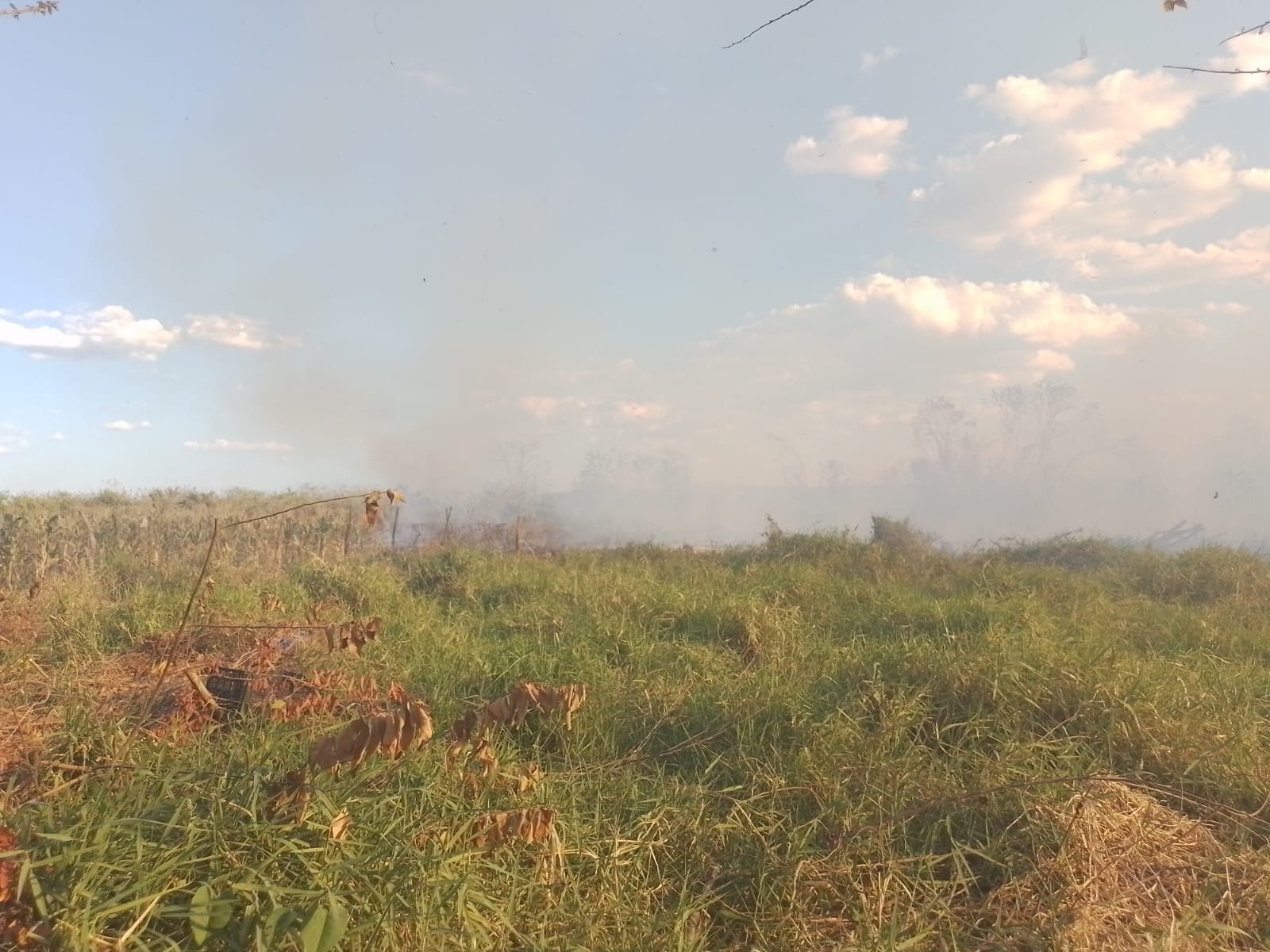 El incendio consumió varios campos de maiz y terrenos