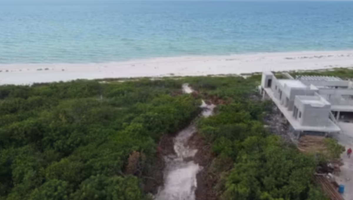 Paraíso Sisal: Estos son los proyectos que canceló la Semarnat por atentar contra la costa yucateca