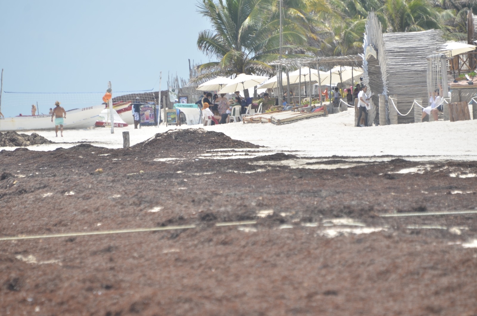 Bloquearán a Tulum contra el sargazo; anuncian despliegue de más de 2 mil metros de barrera