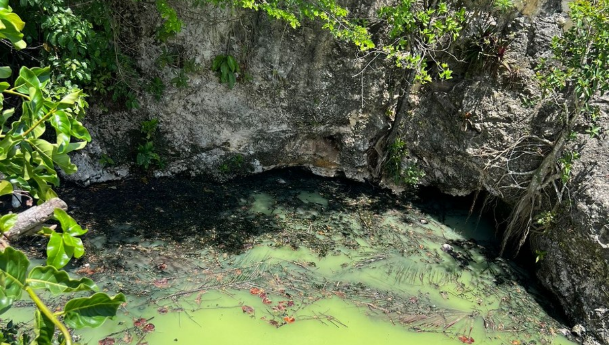 Acusan a Aguakan de contaminar cenotes en Playa del Carmen; ¡Es un crimen!