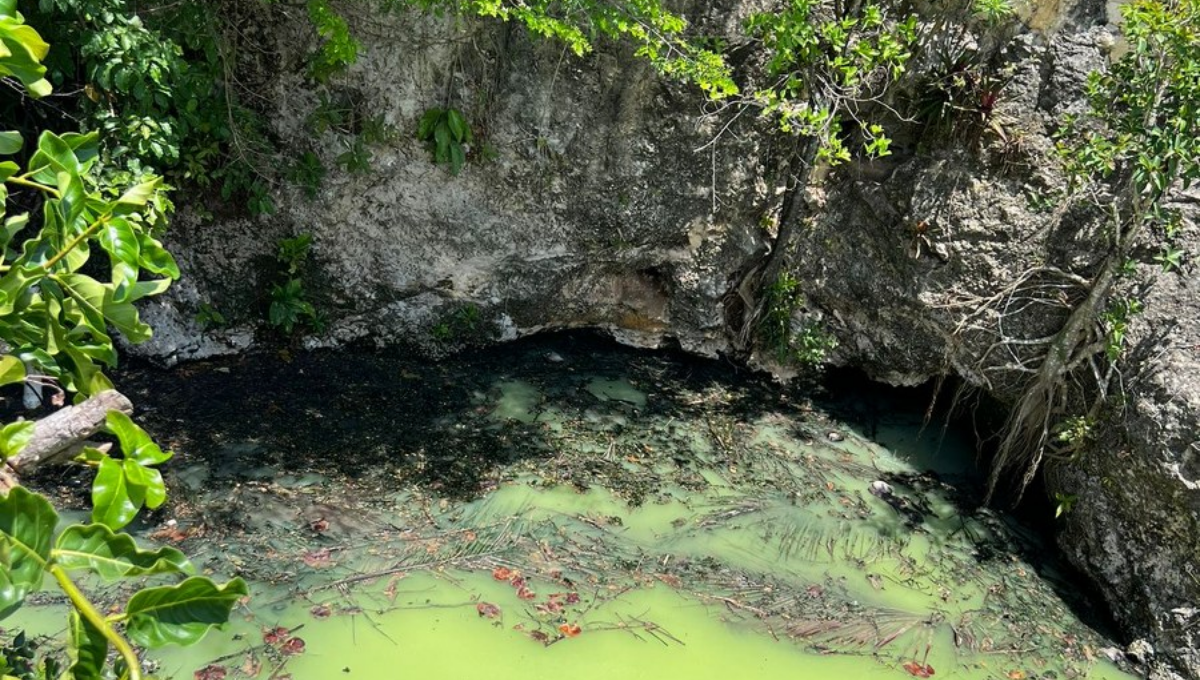 Se proyecta dignificar los cuerpos de agua de la ciudad y convertirlos en otro atractivo turístico; en la primera etapa se rehabilitarán y acondicionarán 13