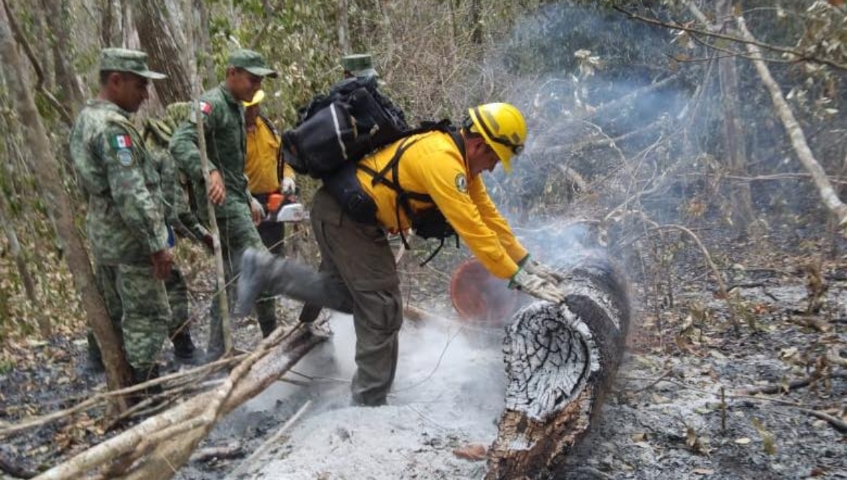 El incendio ya cuenta con un 25% de control