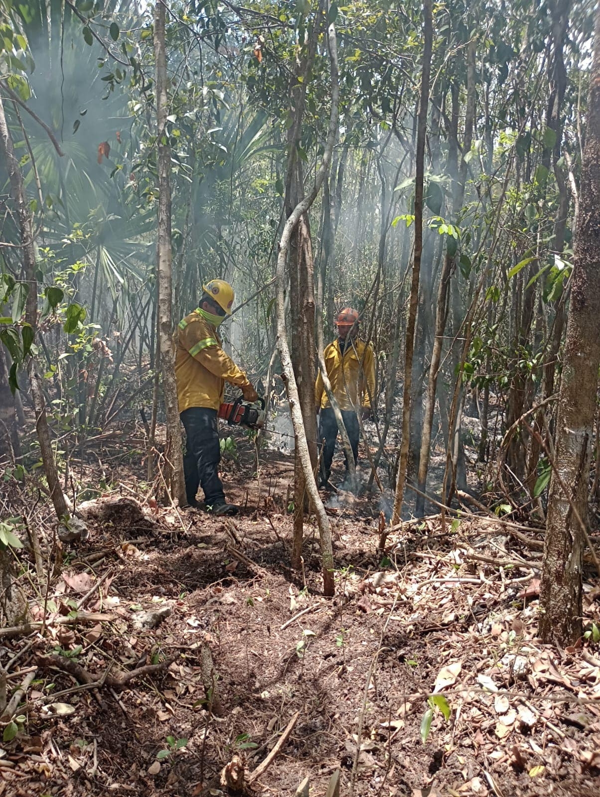 Chetumal se posiciona como la ciudad con más incendios en Quintana Roo: Conafor