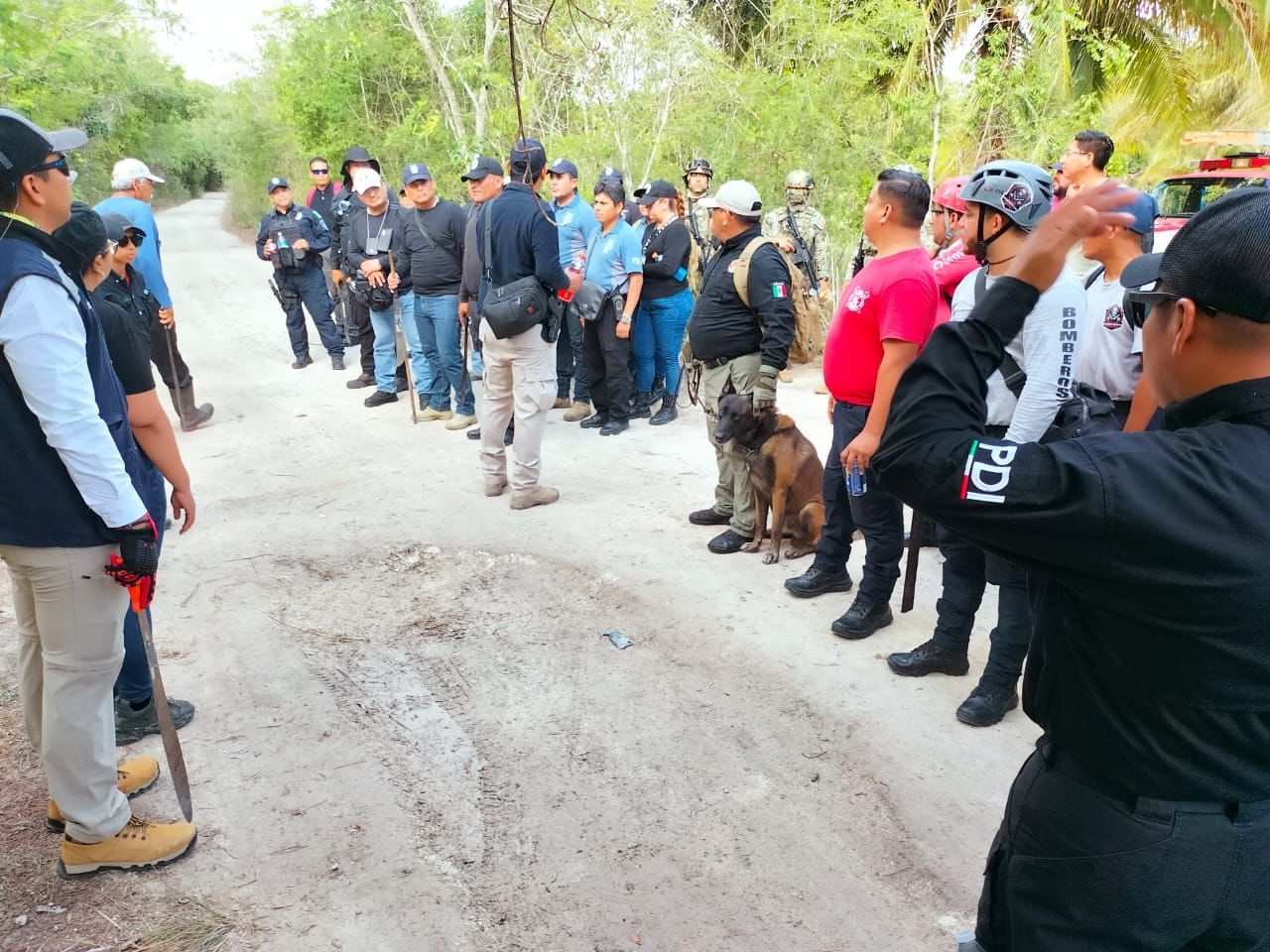 Iris se encuentra desaparecida en la zona de selva de la carretera Chetumal-Bacalar