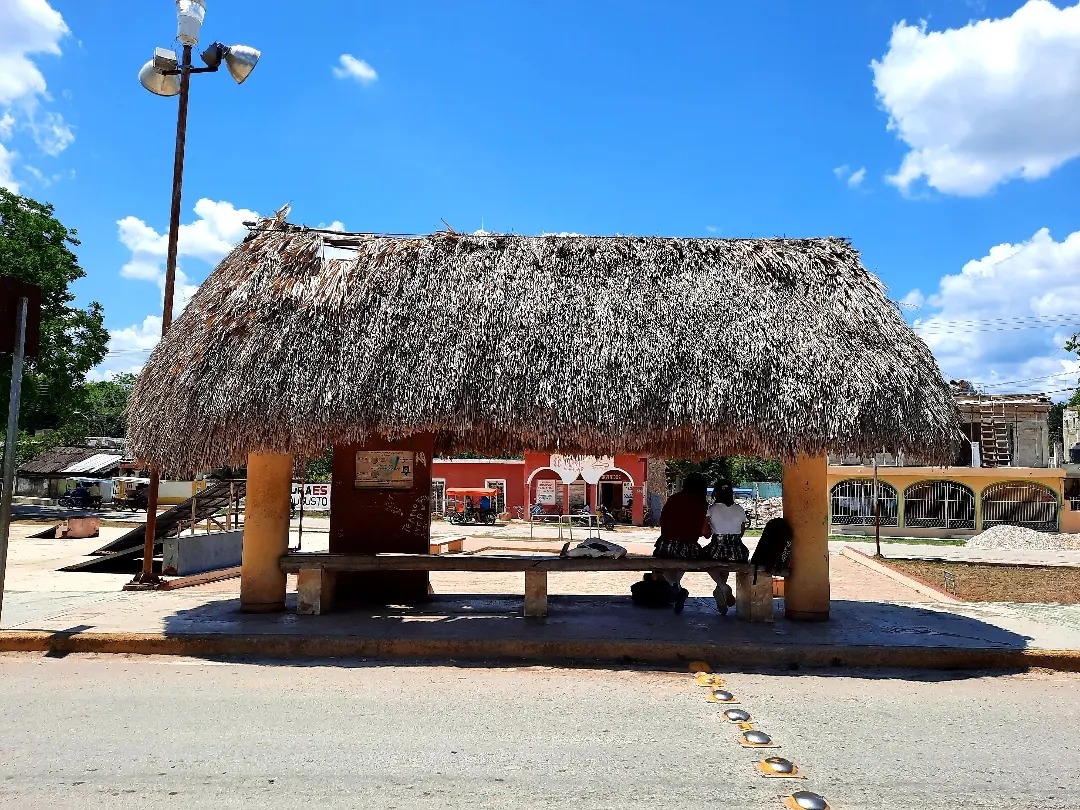 Paradero de camiones con techo de paja en Yucatán se hace viral